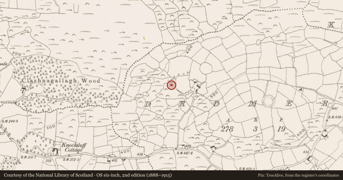 Ordnance Survey six-inch map, 2nd edition (1888–1915) covering the location of Ringfort - rath, Dromerk, County Cork, with a pin at the register's coordinates