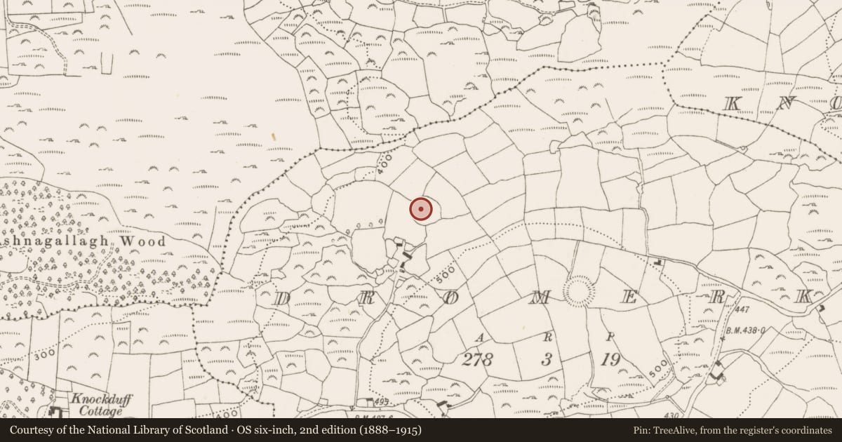 Ordnance Survey six-inch map, 2nd edition (1888–1915) covering the location of Burial ground, Dromerk, County Cork, with a pin at the register's coordinates
