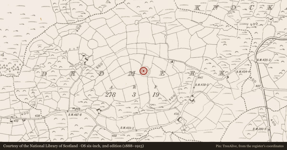 Ordnance Survey six-inch map, 2nd edition (1888–1915) covering the location of Ringfort - rath, Dromerk, County Cork, with a pin at the register's coordinates