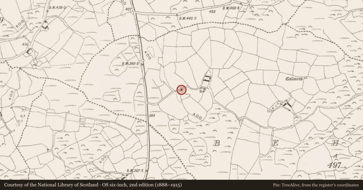 Ordnance Survey six-inch map, 2nd edition (1888–1915) covering the location of Ringfort - rath, Behagh, County Cork, with a pin at the register's coordinates