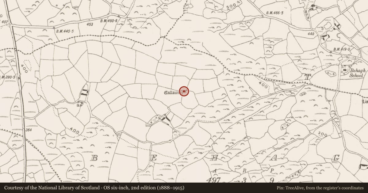 Ordnance Survey six-inch map, 2nd edition (1888–1915) covering the location of Anomalous stone group, Behagh, County Cork, with a pin at the register's coordinates
