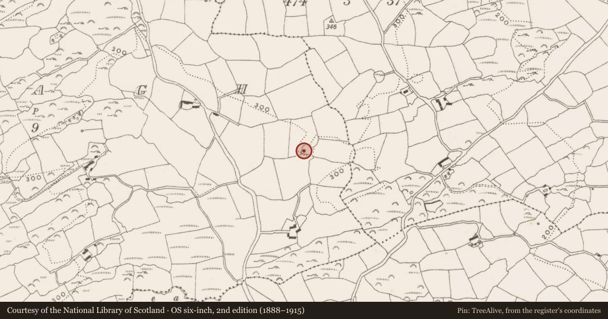 Ordnance Survey six-inch map, 2nd edition (1888–1915) covering the location of Ringfort - cashel, Behagh, County Cork, with a pin at the register's coordinates
