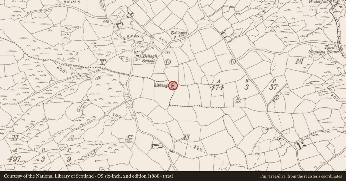Ordnance Survey six-inch map, 2nd edition (1888–1915) covering the location of Ringfort - rath, Toom, County Cork, with a pin at the register's coordinates