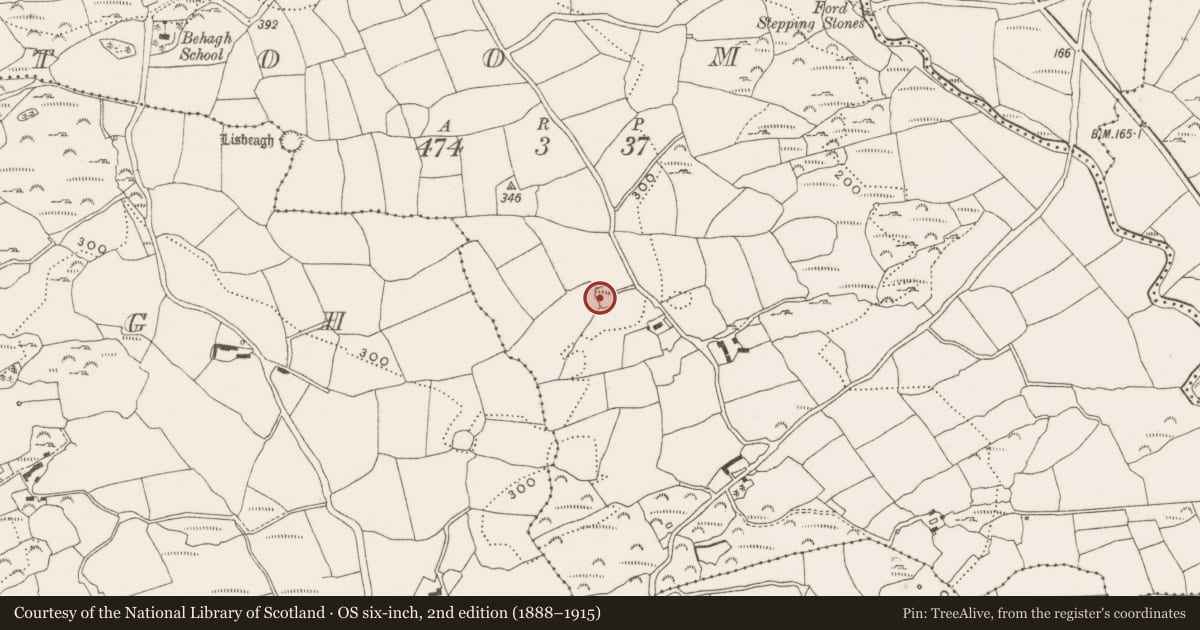 Ordnance Survey six-inch map, 2nd edition (1888–1915) covering the location of Ringfort - rath, Toom, County Cork, with a pin at the register's coordinates