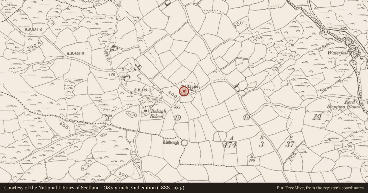 Ordnance Survey six-inch map, 2nd edition (1888–1915) covering the location of Standing stone - pair, Toom, County Cork, with a pin at the register's coordinates