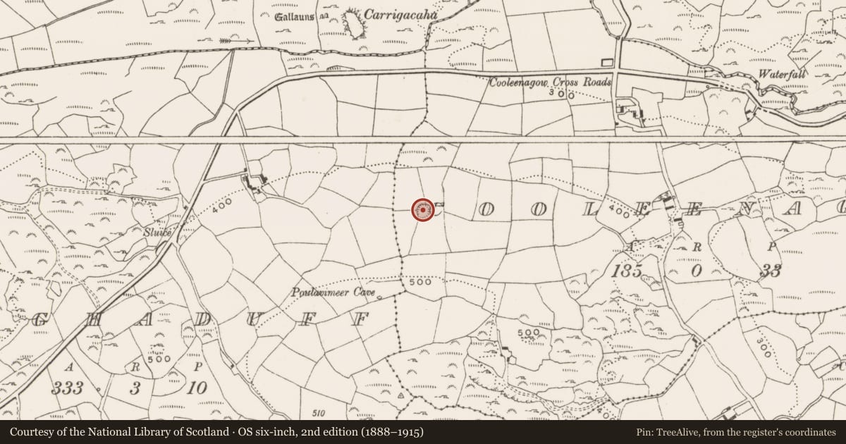 Ordnance Survey six-inch map, 2nd edition (1888–1915) covering the location of Ringfort - rath, Cooleenagow, County Cork, with a pin at the register's coordinates