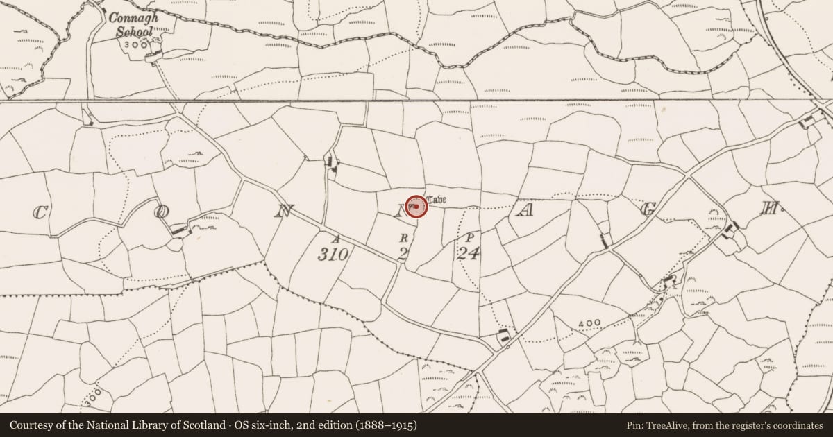 Ordnance Survey six-inch map, 2nd edition (1888–1915) covering the location of Ringfort - rath, Connagh, County Cork, with a pin at the register's coordinates