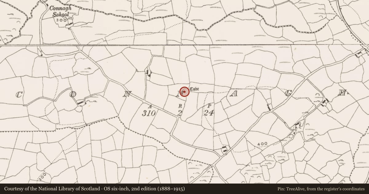 Ordnance Survey six-inch map, 2nd edition (1888–1915) covering the location of Souterrain, Connagh, County Cork, with a pin at the register's coordinates