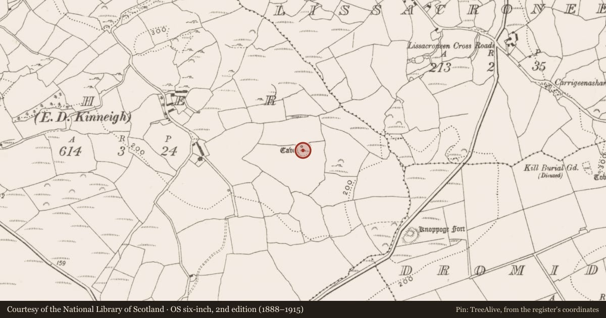 Ordnance Survey six-inch map, 2nd edition (1888–1915) covering the location of Ringfort - rath, Caher (Carbery E. (W.D.) By., Kinneigh Par.), County Cork, with a pin at the register's coordinates
