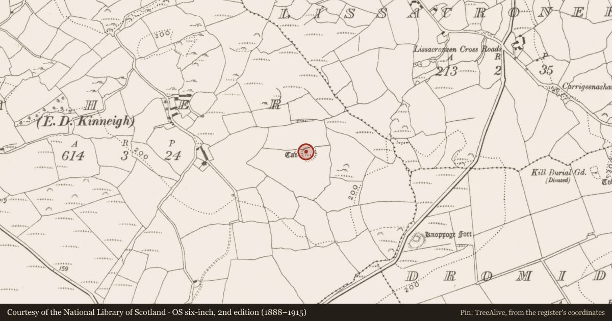 Ordnance Survey six-inch map, 2nd edition (1888–1915) covering the location of Souterrain, Caher (Carbery E. (W.D.) By., Kinneigh Par.), County Cork, with a pin at the register's coordinates