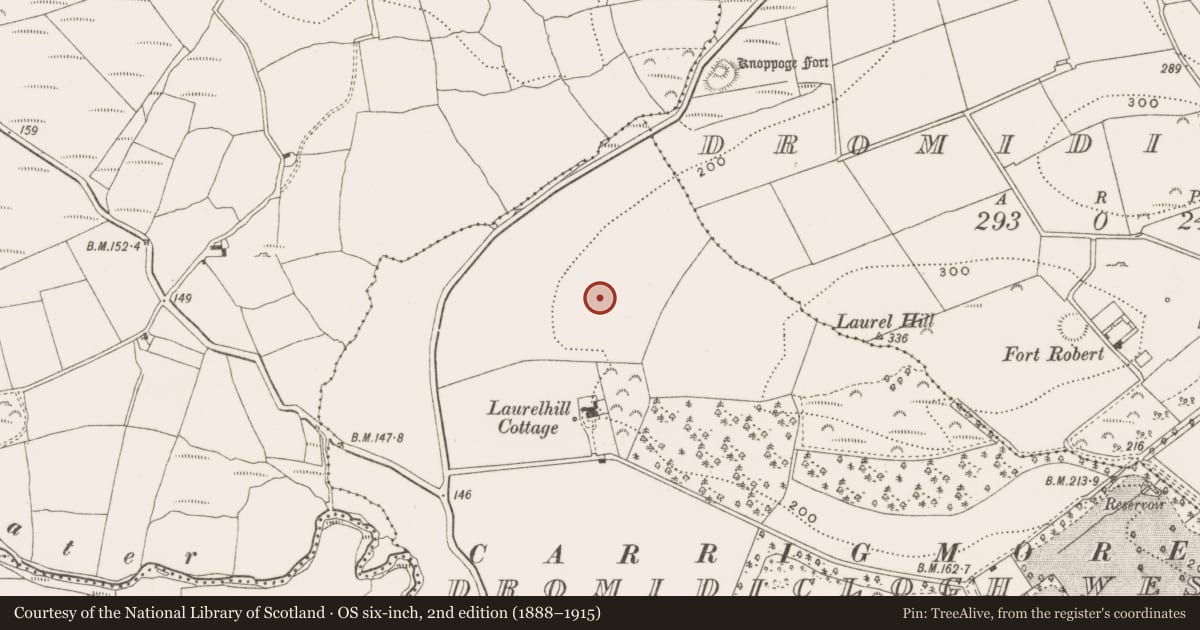 Ordnance Survey six-inch map, 2nd edition (1888–1915) covering the location of Ringfort - rath, Dromidiclogh West, County Cork, with a pin at the register's coordinates