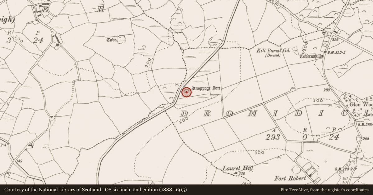 Ordnance Survey six-inch map, 2nd edition (1888–1915) covering the location of Earthwork, Dromidiclogh, County Cork, with a pin at the register's coordinates