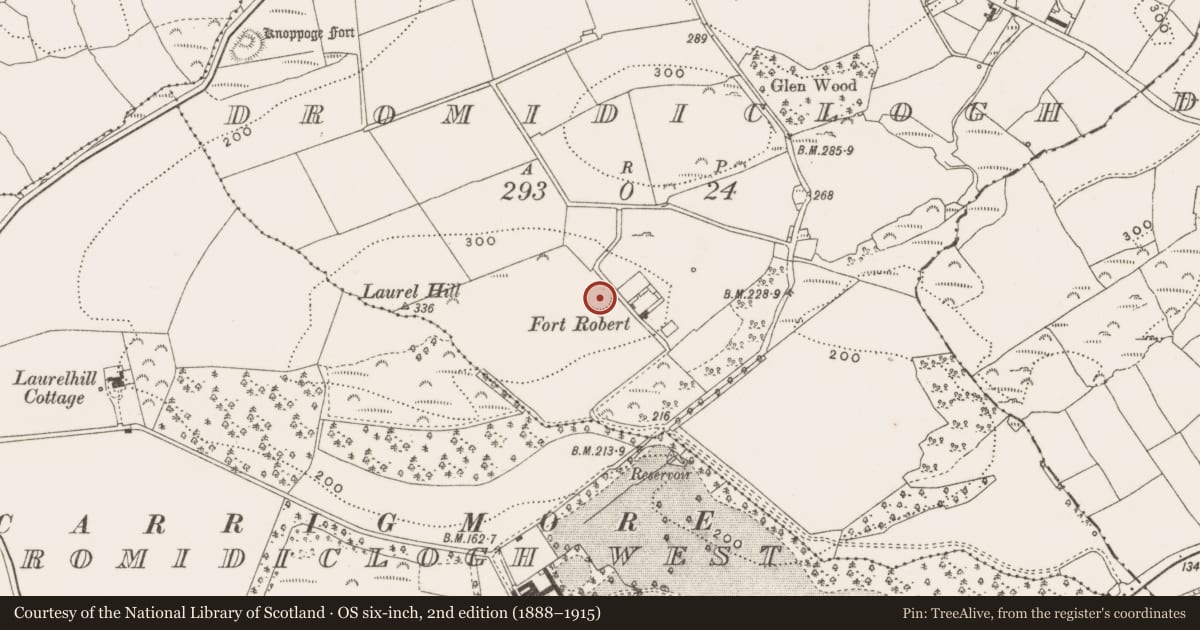 Ordnance Survey six-inch map, 2nd edition (1888–1915) covering the location of Ringfort - rath, Dromidiclogh, County Cork, with a pin at the register's coordinates