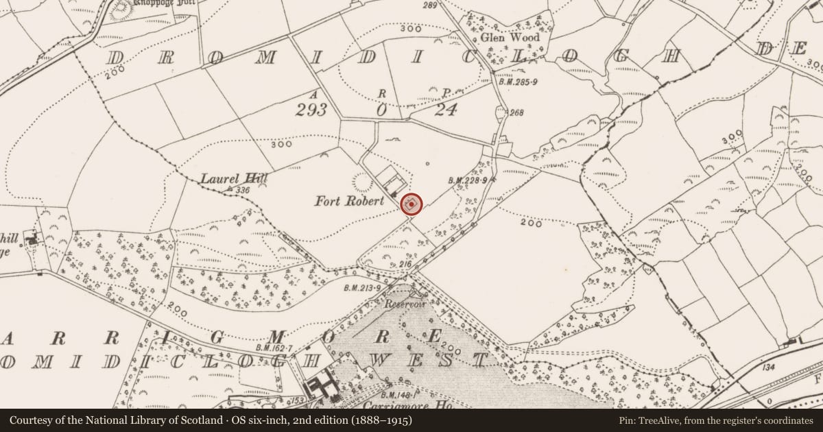 Ordnance Survey six-inch map, 2nd edition (1888–1915) covering the location of Country house, Dromidiclogh, County Cork, with a pin at the register's coordinates