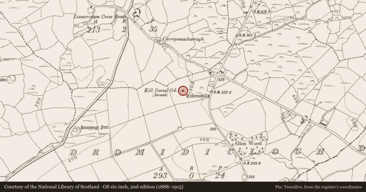 Ordnance Survey six-inch map, 2nd edition (1888–1915) covering the location of Burial ground, Dromidiclogh, County Cork, with a pin at the register's coordinates