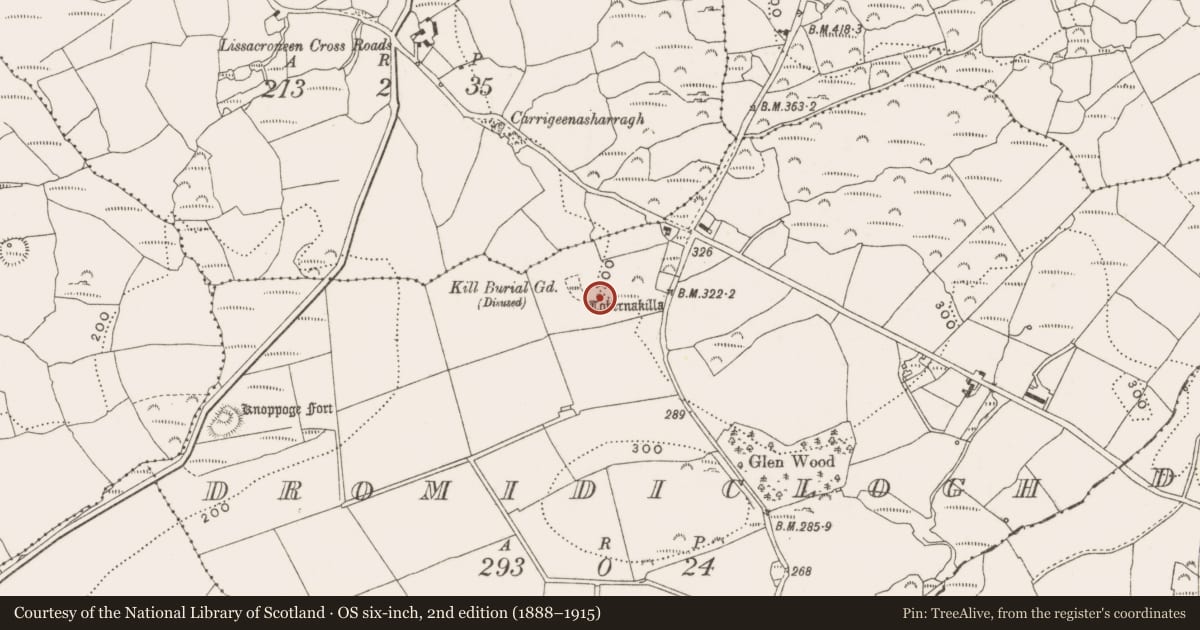 Ordnance Survey six-inch map, 2nd edition (1888–1915) covering the location of Ritual site - holy well, Dromidiclogh, County Cork, with a pin at the register's coordinates