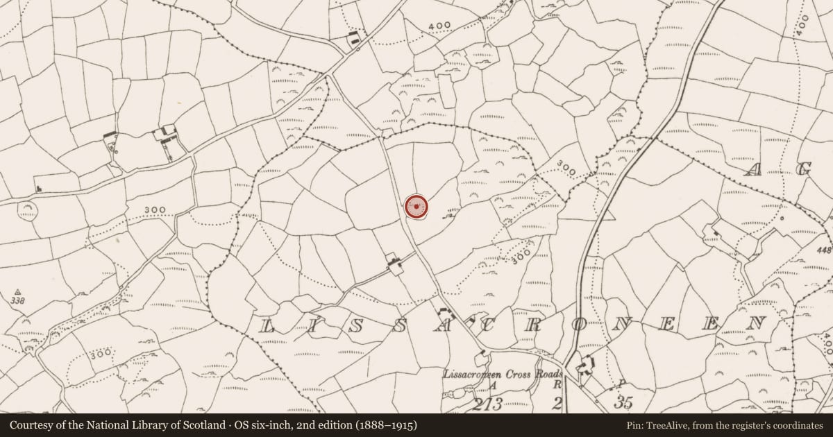 Ordnance Survey six-inch map, 2nd edition (1888–1915) covering the location of Ringfort - rath, Lissacroneen, County Cork, with a pin at the register's coordinates