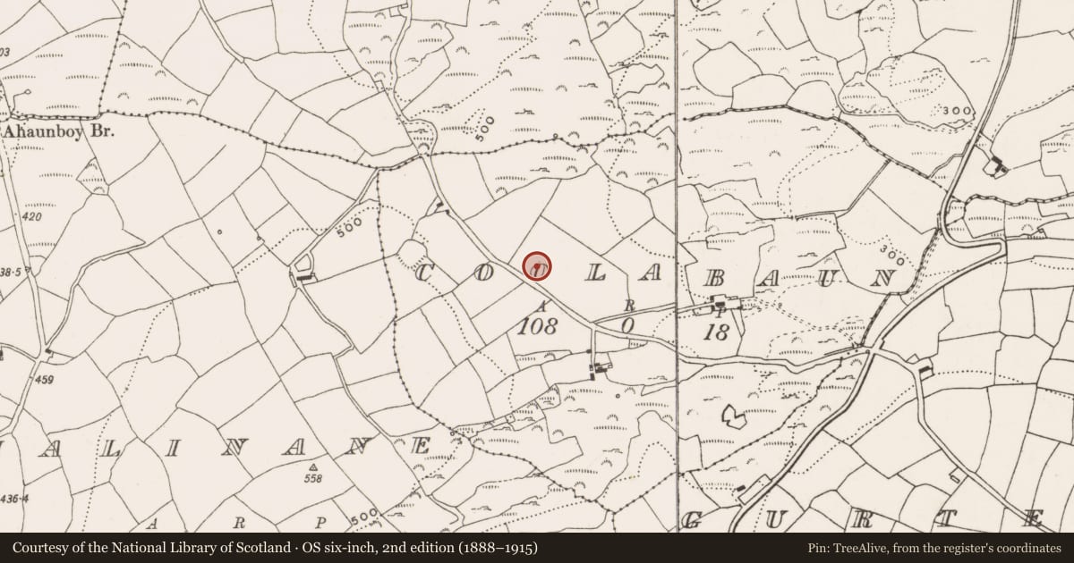 Ordnance Survey six-inch map, 2nd edition (1888–1915) covering the location of Souterrain, Coolabaun, County Cork, with a pin at the register's coordinates