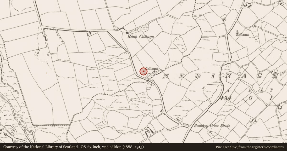 Ordnance Survey six-inch map, 2nd edition (1888–1915) covering the location of Standing stone - pair, Ballyhalwick, County Cork, with a pin at the register's coordinates