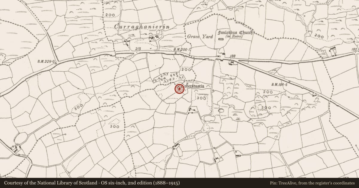 Ordnance Survey six-inch map, 2nd edition (1888–1915) covering the location of Ritual site - holy well, Nedinagh East, County Cork, with a pin at the register's coordinates