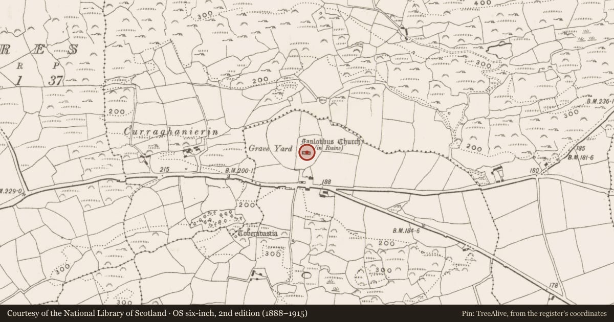 Ordnance Survey six-inch map, 2nd edition (1888–1915) covering the location of Graveyard, Nedinagh East, County Cork, with a pin at the register's coordinates