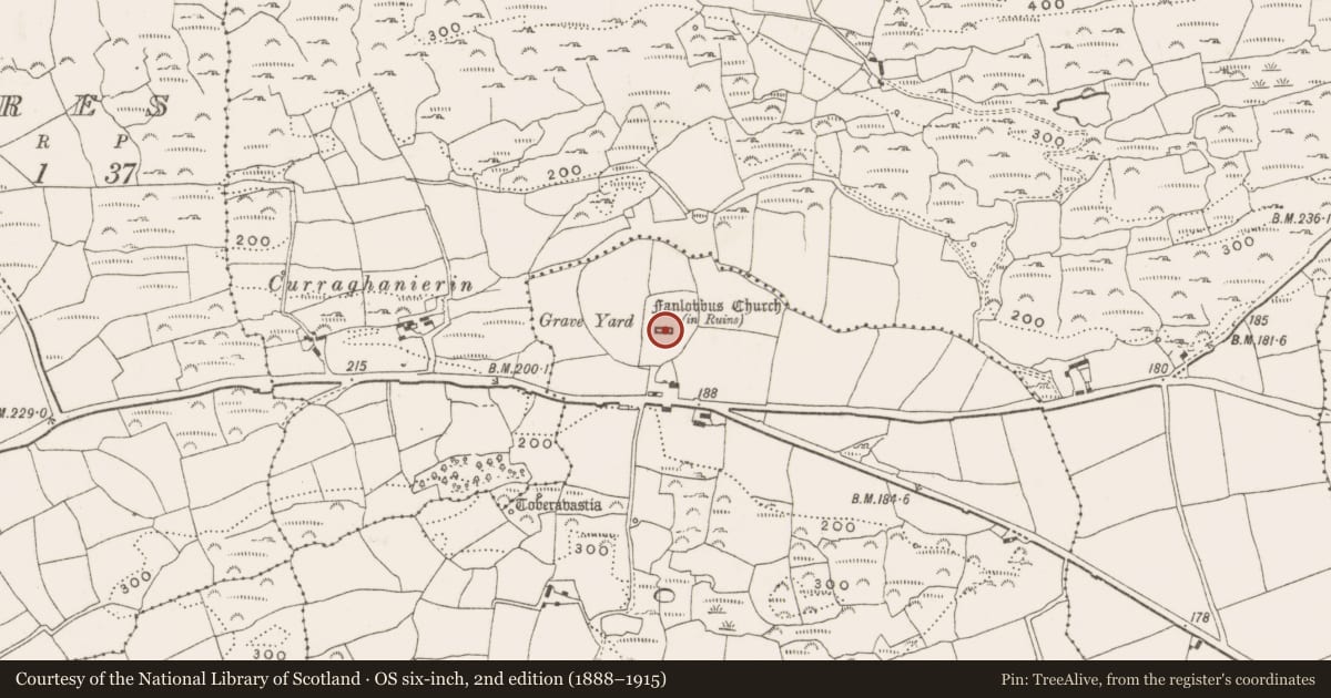 Ordnance Survey six-inch map, 2nd edition (1888–1915) covering the location of Church, Nedinagh East, County Cork, with a pin at the register's coordinates