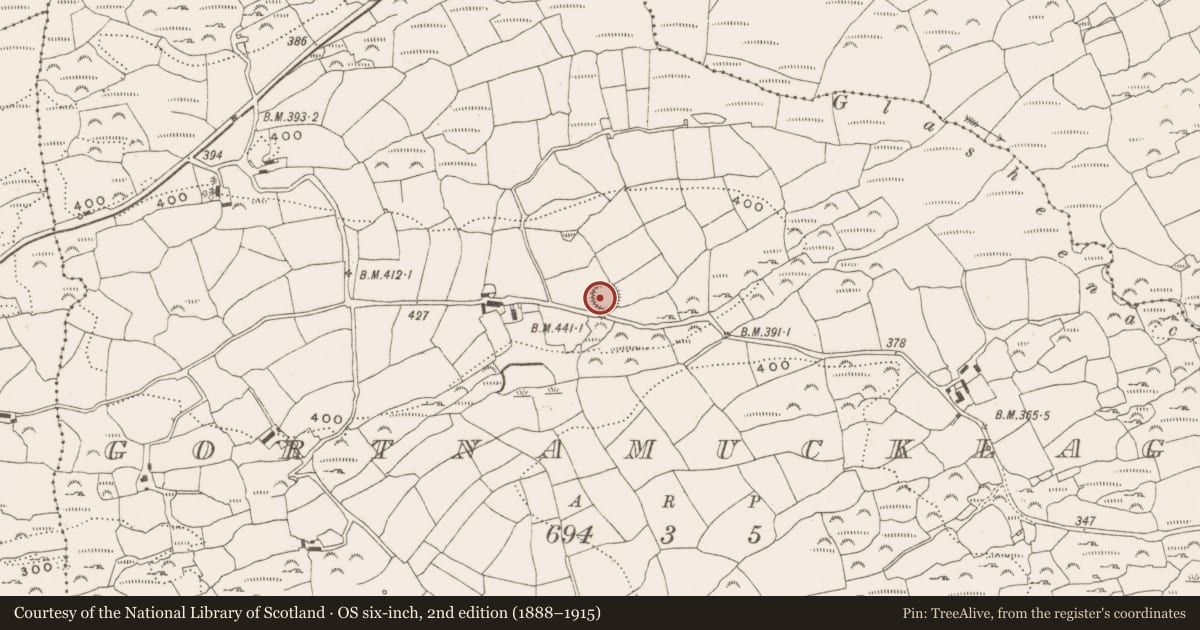 Ordnance Survey six-inch map, 2nd edition (1888–1915) covering the location of Ringfort - rath, Gortnamucklagh, County Cork, with a pin at the register's coordinates