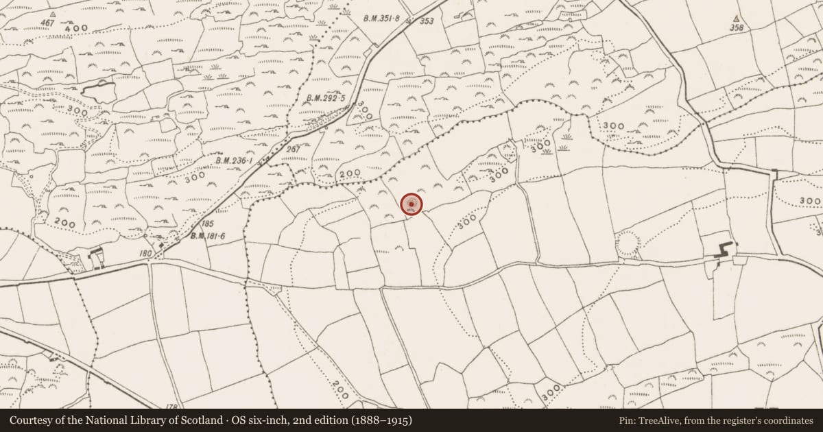Ordnance Survey six-inch map, 2nd edition (1888–1915) covering the location of Fulacht fia, Manch West, County Cork, with a pin at the register's coordinates