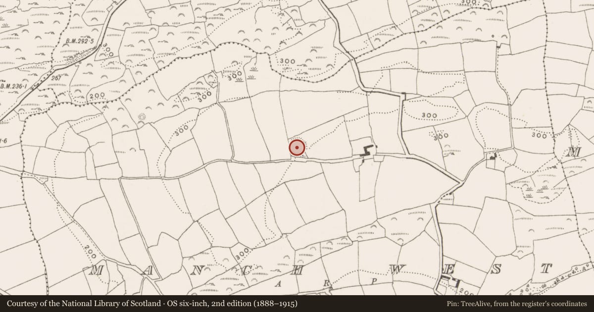 Ordnance Survey six-inch map, 2nd edition (1888–1915) covering the location of Ringfort - rath, Manch West, County Cork, with a pin at the register's coordinates