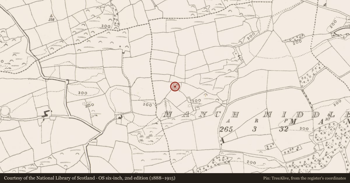Ordnance Survey six-inch map, 2nd edition (1888–1915) covering the location of Ringfort - cashel, Manch Middle, County Cork, with a pin at the register's coordinates