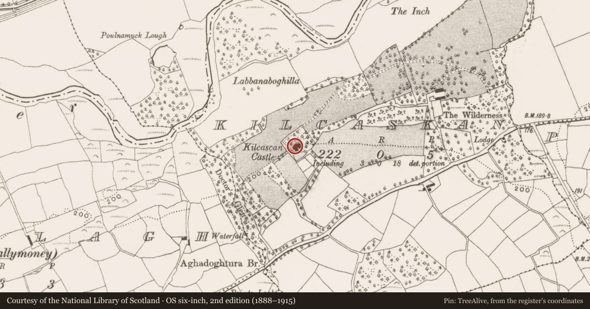 Ordnance Survey six-inch map, 2nd edition (1888–1915) covering the location of Country house, Kilcaskan, County Cork, with a pin at the register's coordinates