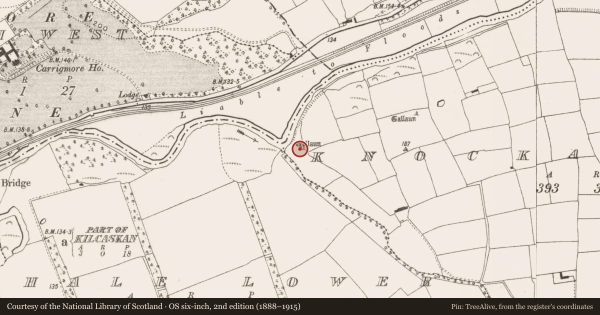 Ordnance Survey six-inch map, 2nd edition (1888–1915) covering the location of Standing stone, Knockaneady, County Cork, with a pin at the register's coordinates
