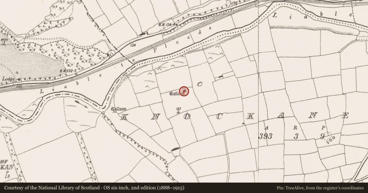 Ordnance Survey six-inch map, 2nd edition (1888–1915) covering the location of Standing stone, Knockaneady, County Cork, with a pin at the register's coordinates