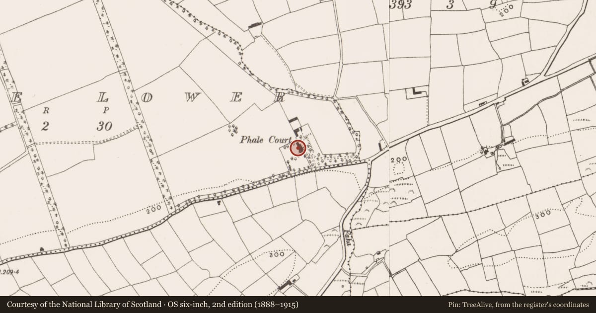 Ordnance Survey six-inch map, 2nd edition (1888–1915) covering the location of Architectural fragment, Phale Lower, County Cork, with a pin at the register's coordinates