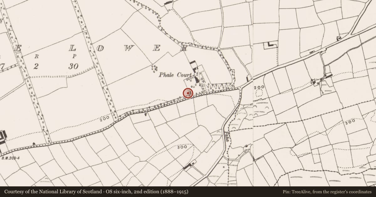 Ordnance Survey six-inch map, 2nd edition (1888–1915) covering the location of Country house, Phale Lower, County Cork, with a pin at the register's coordinates