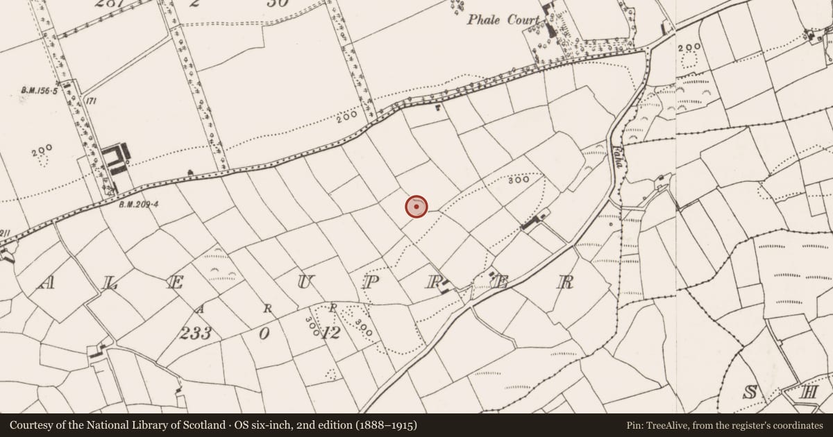 Ordnance Survey six-inch map, 2nd edition (1888–1915) covering the location of Ringfort - rath, Phale Upper, County Cork, with a pin at the register's coordinates