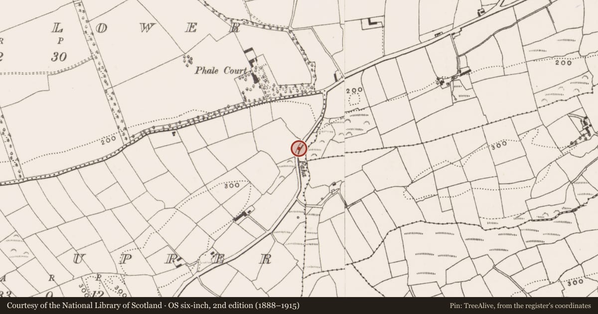 Ordnance Survey six-inch map, 2nd edition (1888–1915) covering the location of Castle - Anglo-Norman masonry castle, Phale Upper, County Cork, with a pin at the register's coordinates