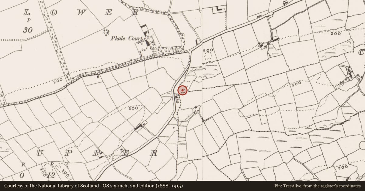 Ordnance Survey six-inch map, 2nd edition (1888–1915) covering the location of Burial ground, Knockaneady, County Cork, with a pin at the register's coordinates