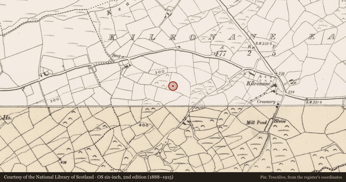 Ordnance Survey six-inch map, 2nd edition (1888–1915) covering the location of Ringfort - rath, Kilronane East, County Cork, with a pin at the register's coordinates