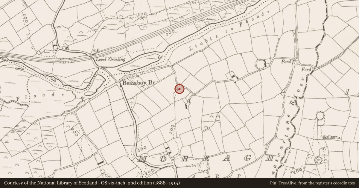 Ordnance Survey six-inch map, 2nd edition (1888–1915) covering the location of Souterrain, Moreagh, County Cork, with a pin at the register's coordinates