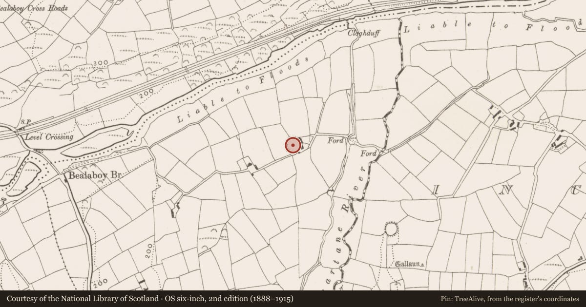 Ordnance Survey six-inch map, 2nd edition (1888–1915) covering the location of Ringfort - rath, Moreagh, County Cork, with a pin at the register's coordinates
