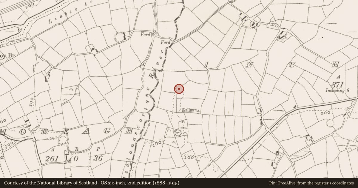Ordnance Survey six-inch map, 2nd edition (1888–1915) covering the location of Ringfort - rath, Inchafune, County Cork, with a pin at the register's coordinates