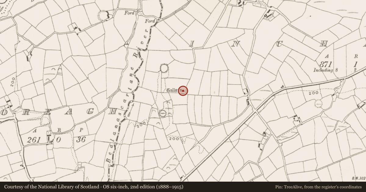 Ordnance Survey six-inch map, 2nd edition (1888–1915) covering the location of Standing stone, Inchafune, County Cork, with a pin at the register's coordinates