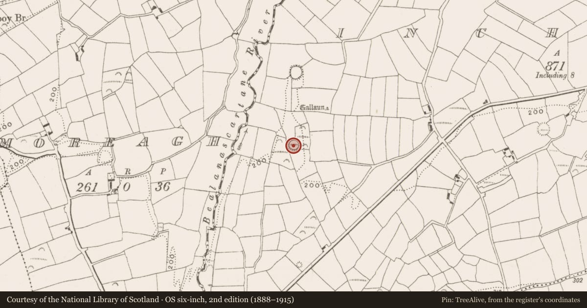 Ordnance Survey six-inch map, 2nd edition (1888–1915) covering the location of Ringfort - rath, Inchafune, County Cork, with a pin at the register's coordinates