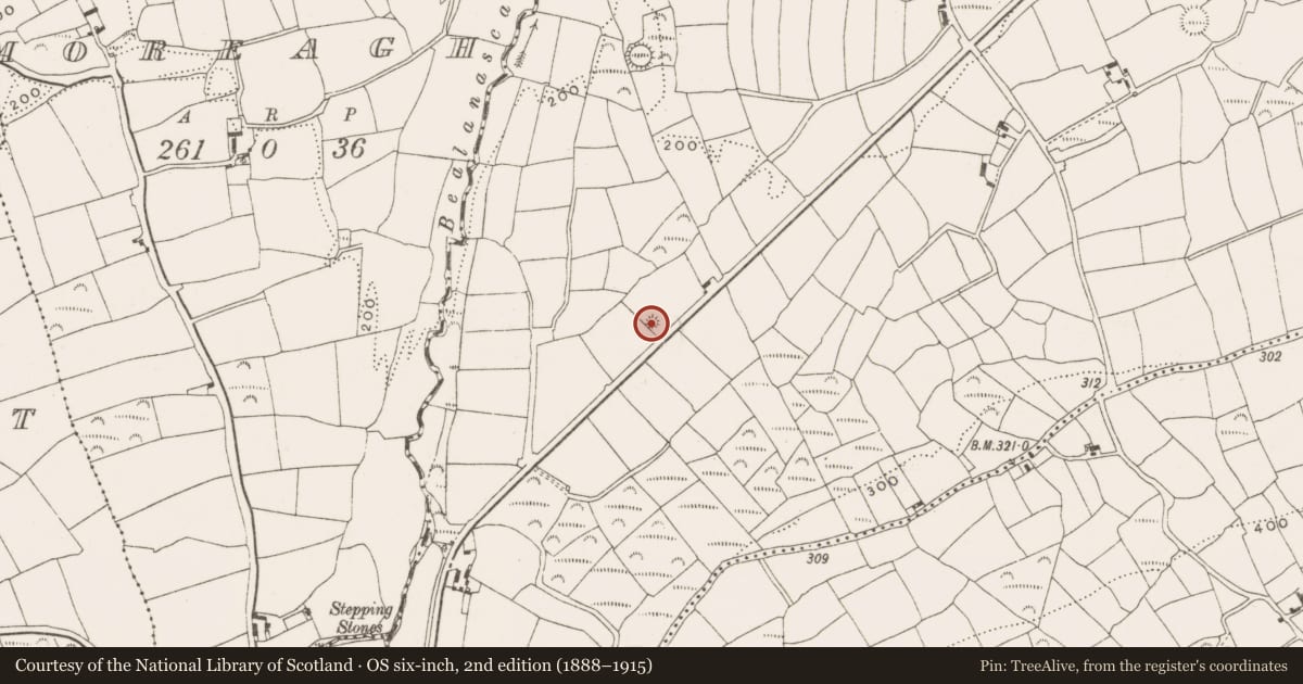 Ordnance Survey six-inch map, 2nd edition (1888–1915) covering the location of Barrow - ring-barrow, Inchafune, County Cork, with a pin at the register's coordinates