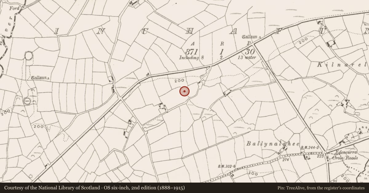 Ordnance Survey six-inch map, 2nd edition (1888–1915) covering the location of Ringfort - rath, Inchafune, County Cork, with a pin at the register's coordinates