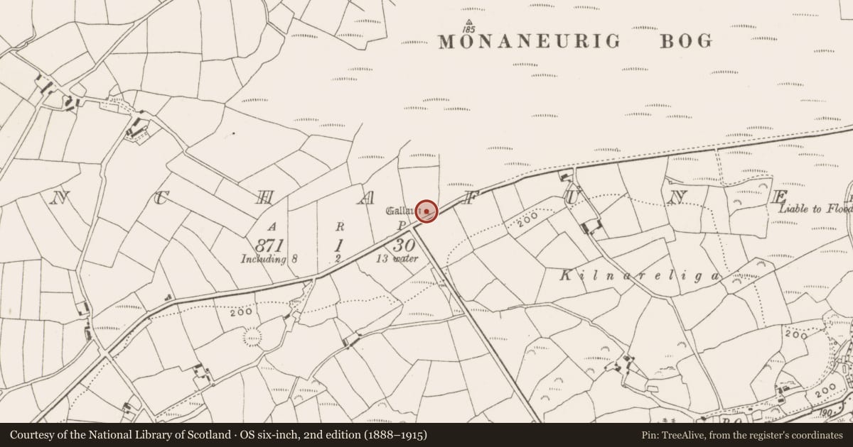 Ordnance Survey six-inch map, 2nd edition (1888–1915) covering the location of Standing stone, Inchafune, County Cork, with a pin at the register's coordinates