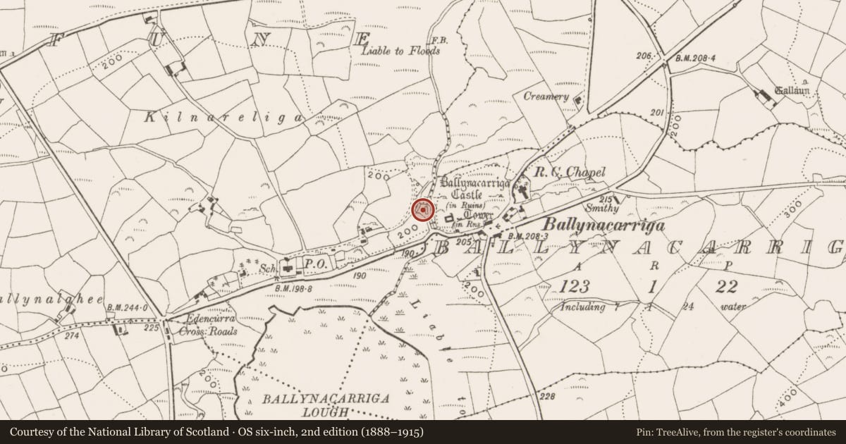 Ordnance Survey six-inch map, 2nd edition (1888–1915) covering the location of Mill - unclassified, Inchafune, County Cork, with a pin at the register's coordinates