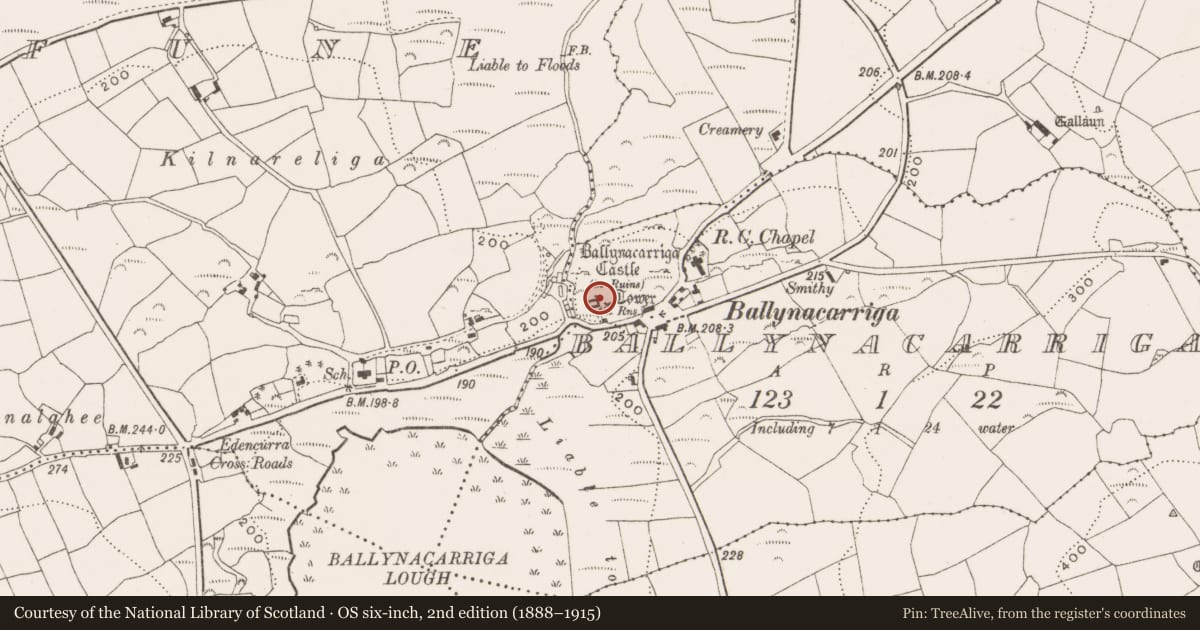 Ordnance Survey six-inch map, 2nd edition (1888–1915) covering the location of Bawn, Ballynacarriga, County Cork, with a pin at the register's coordinates