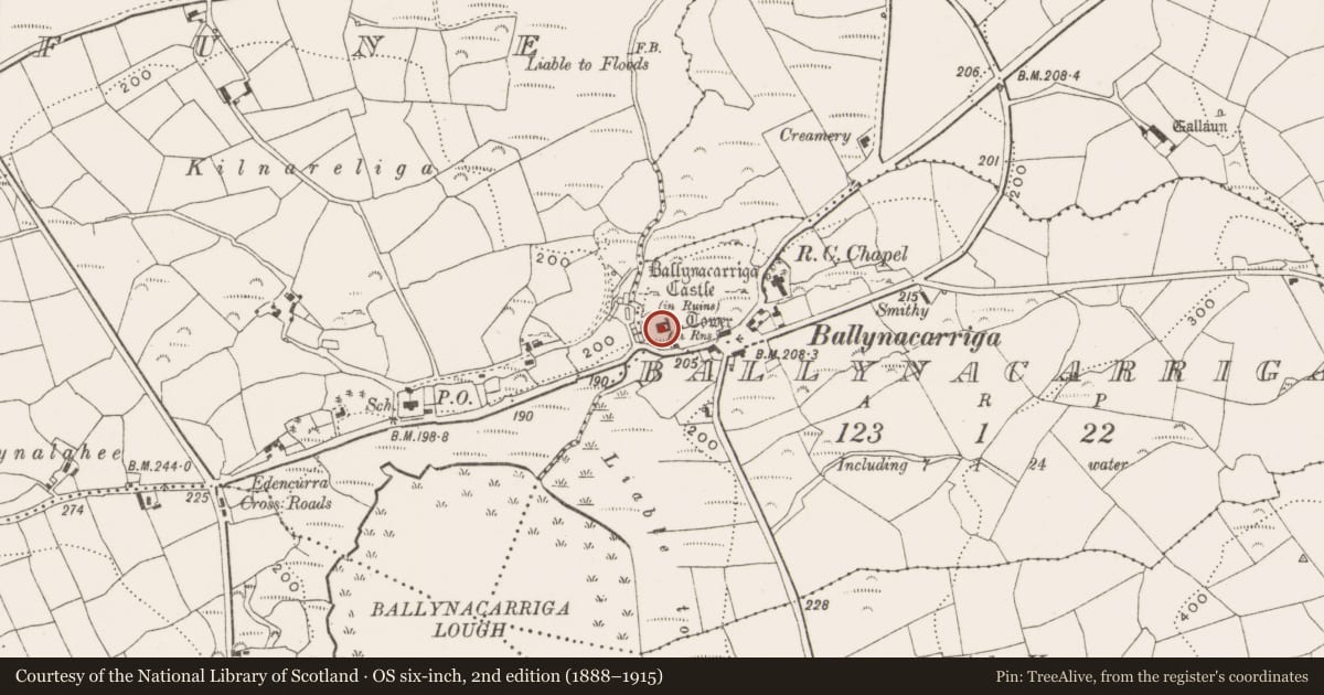 Ordnance Survey six-inch map, 2nd edition (1888–1915) covering the location of Castle - tower house, Ballynacarriga, County Cork, with a pin at the register's coordinates